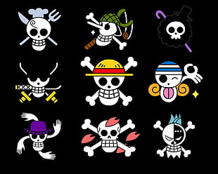 photo displays One Piece skull characters artwork lot HD wallpaper