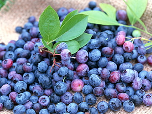 purple grapes fruits