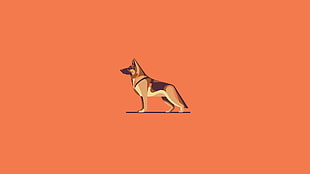adult brown and black German Shepherd clip-art, dog, illustration, orange background