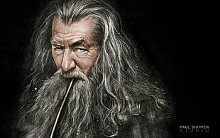 Gandalf graphic wallpaper HD wallpaper