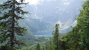 landscape photo of lake near mountains, mountains, Tatra, Poland, Tatra Mountains