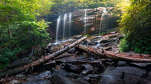 two brown wood logs near waterfall