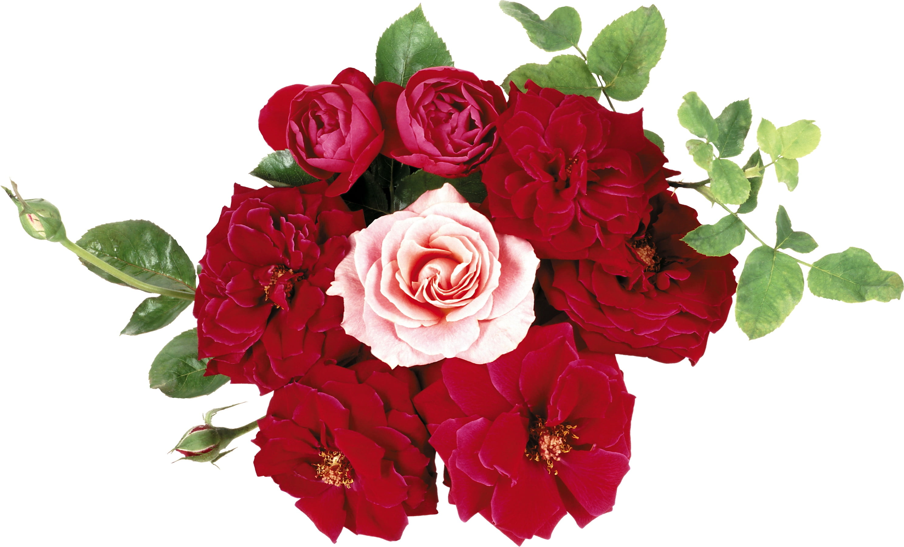 rose flower bouquet