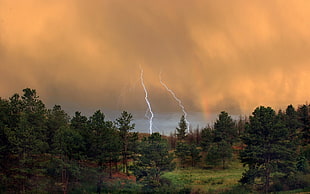 lightning strikes down on land under cloudy sky