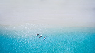 three boats, nature, water, boat HD wallpaper
