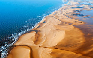 brown sand bar, nature, landscape, beach, sand