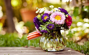 pink, purple, and red Daisy flowers in clear glass vase