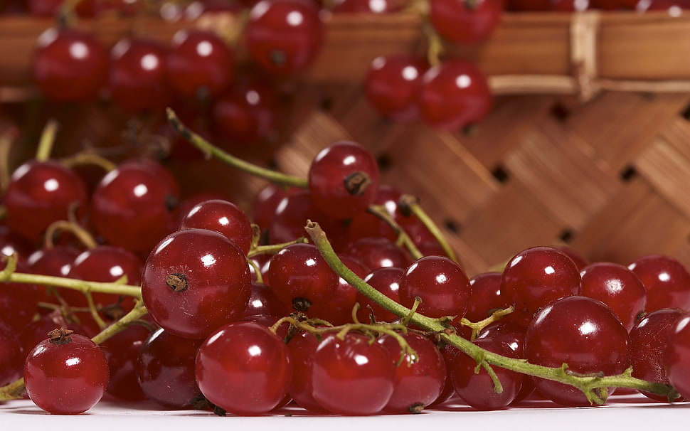 closeup photo of cherries HD wallpaper