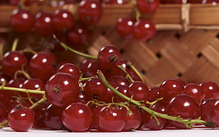 closeup photo of cherries