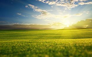 landscape photography of grass land during susnet