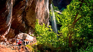 green trees beside cliff during daytime