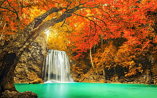 waterfall near orange leaf tree digital wallpaper