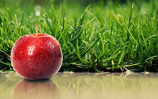 photography of red Apple near green grass field