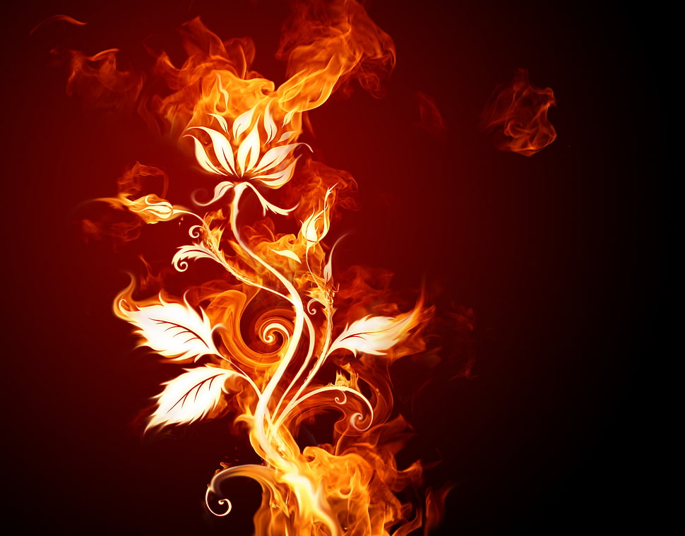 flower flame poster, fire, flowers, artwork HD wallpaper