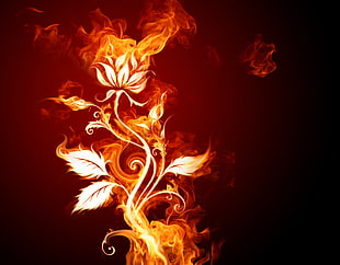 flower flame poster, fire, flowers, artwork
