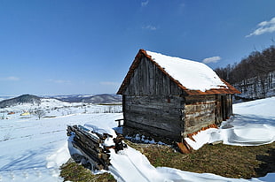 brown wooden shack, cabin, barns
