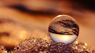 close-up photography clear marble toy HD wallpaper