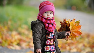 toddler in grey jacket and pink cap holding dried autumn leaves