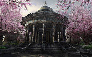 gray dome gazebo beside cherry blossom trees