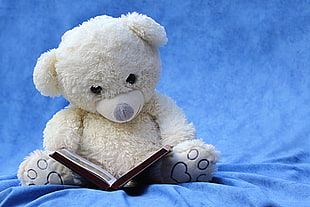 white bear plush toy holding a book
