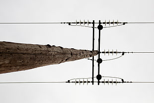black steel electric tower with wooden post, power lines, worm's eye view, overcast, simple background