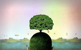 green bonsai plant, abstract, psychedelic, nature, head