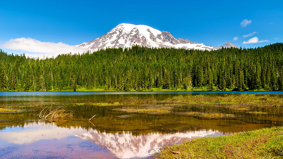 Yosemite National Park HD wallpaper