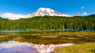 Yosemite National Park HD wallpaper