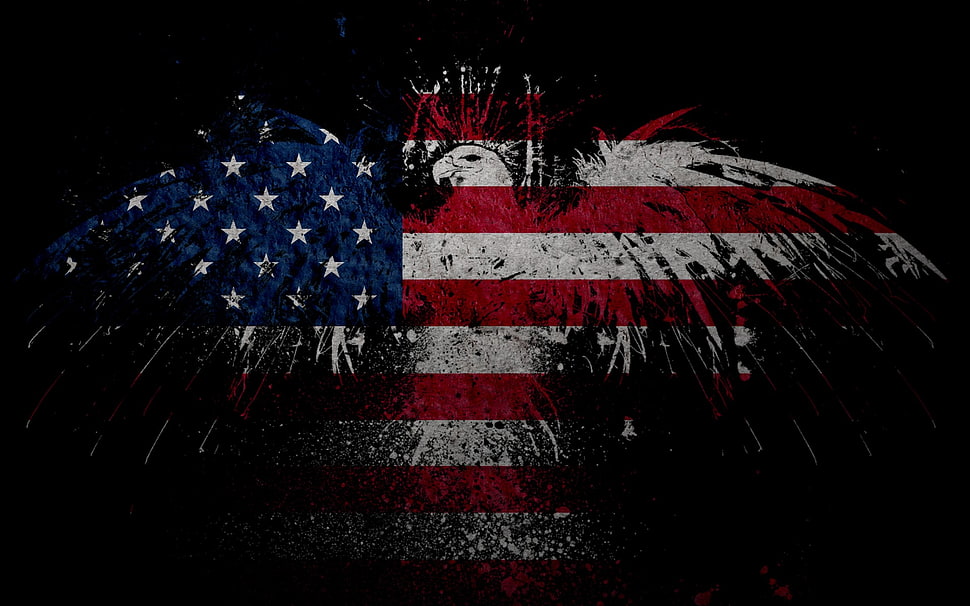 American flag illustration HD wallpaper