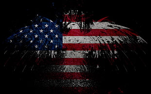 American flag illustration HD wallpaper