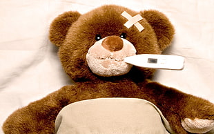 brown bear plush toy with white thermometer HD wallpaper