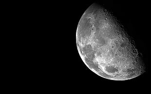 gray moon illustration, Moon, space, dark, crater