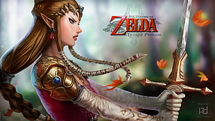 The Legend of Zelda Twilight Princess digital wallpaper, The Legend of Zelda: Twilight Princess, The Legend of Zelda, Princess Zelda, sword