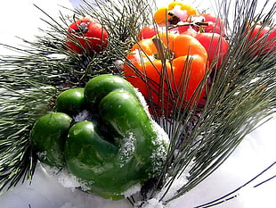 green and orange bell pepper close-up photography