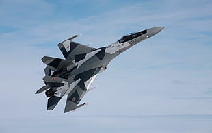 white and gray fighter jet, Sukhoi Su-35, aircraft, military aircraft, military HD wallpaper