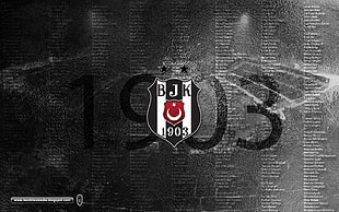 BJK 1903 logo, Besiktas J.K., Inönü Stadium, soccer pitches, soccer clubs HD wallpaper