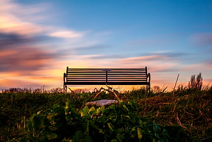 black metal bench surrounded grass HD wallpaper