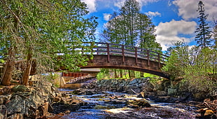 brown bridge over the river surrounded by green trees, wisconsin HD wallpaper