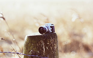 gray and black camera on brown trunk