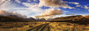 brown mountains, nature, landscape, panoramas, dirt road HD wallpaper