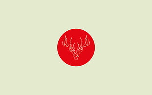 deer head illustration HD wallpaper
