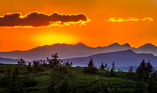 sunset, trees, landscape, mountains HD wallpaper