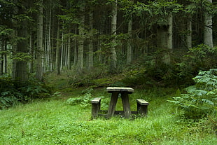 brown wooden picnic table on green grass field