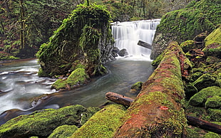 landscaped photography of waterfall during daytime