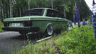 green coupe, Volvo, car, road, nature