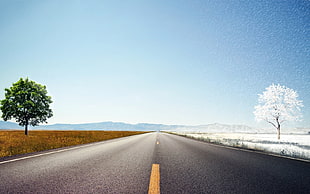 asphalt road on a sunny day HD wallpaper