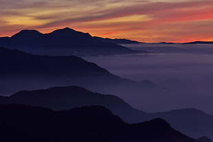 mountains with fog during golden hour, hehuanshan