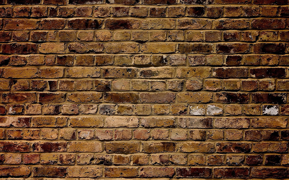 brown brick wall HD wallpaper
