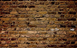 brown brick wall