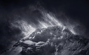 snow mountain digital wallpaper, nature, landscape, birds, flying HD wallpaper
